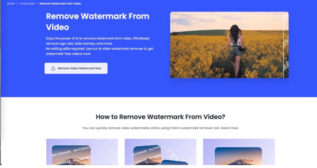 remove watermark from video tool landing page or upload screen