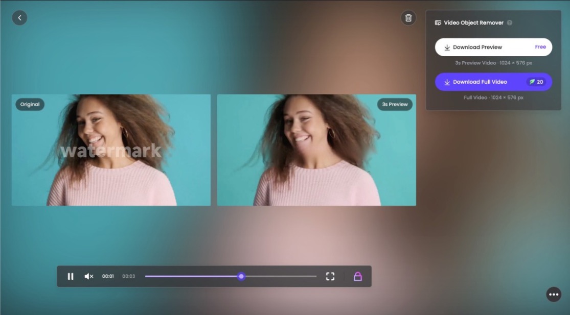 processing or applying changes screen for watermark removal