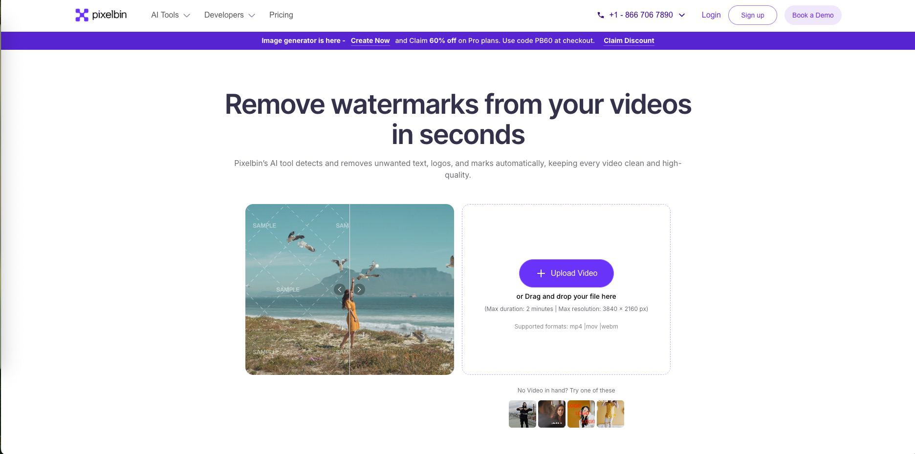 result preview showing watermark still visible after processing