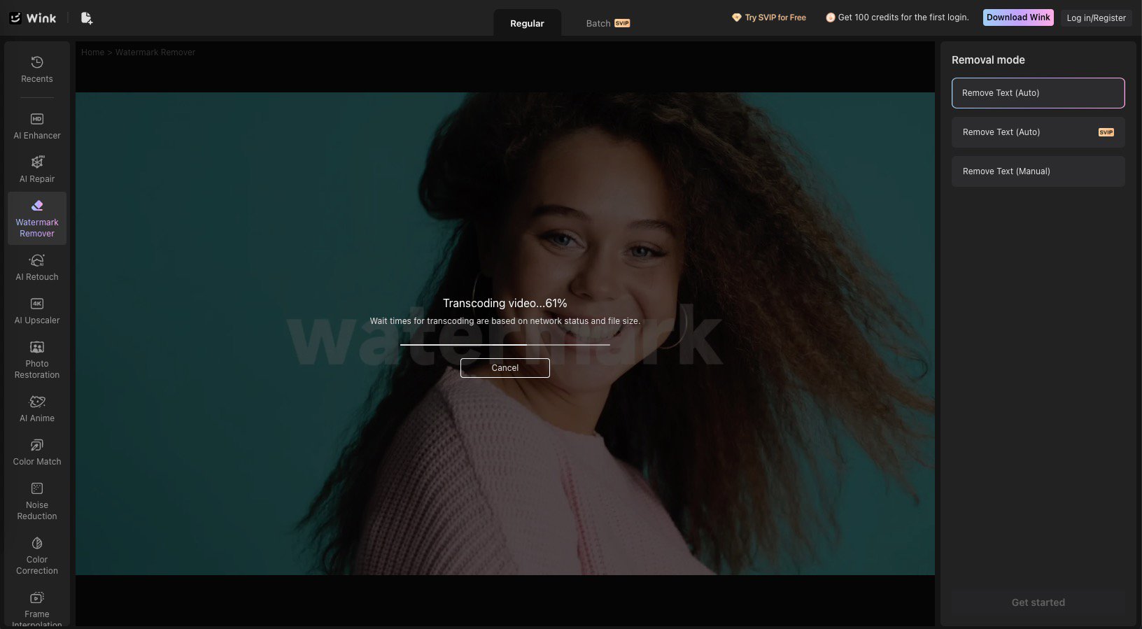 mode selection screen (auto vs manual watermark removal)