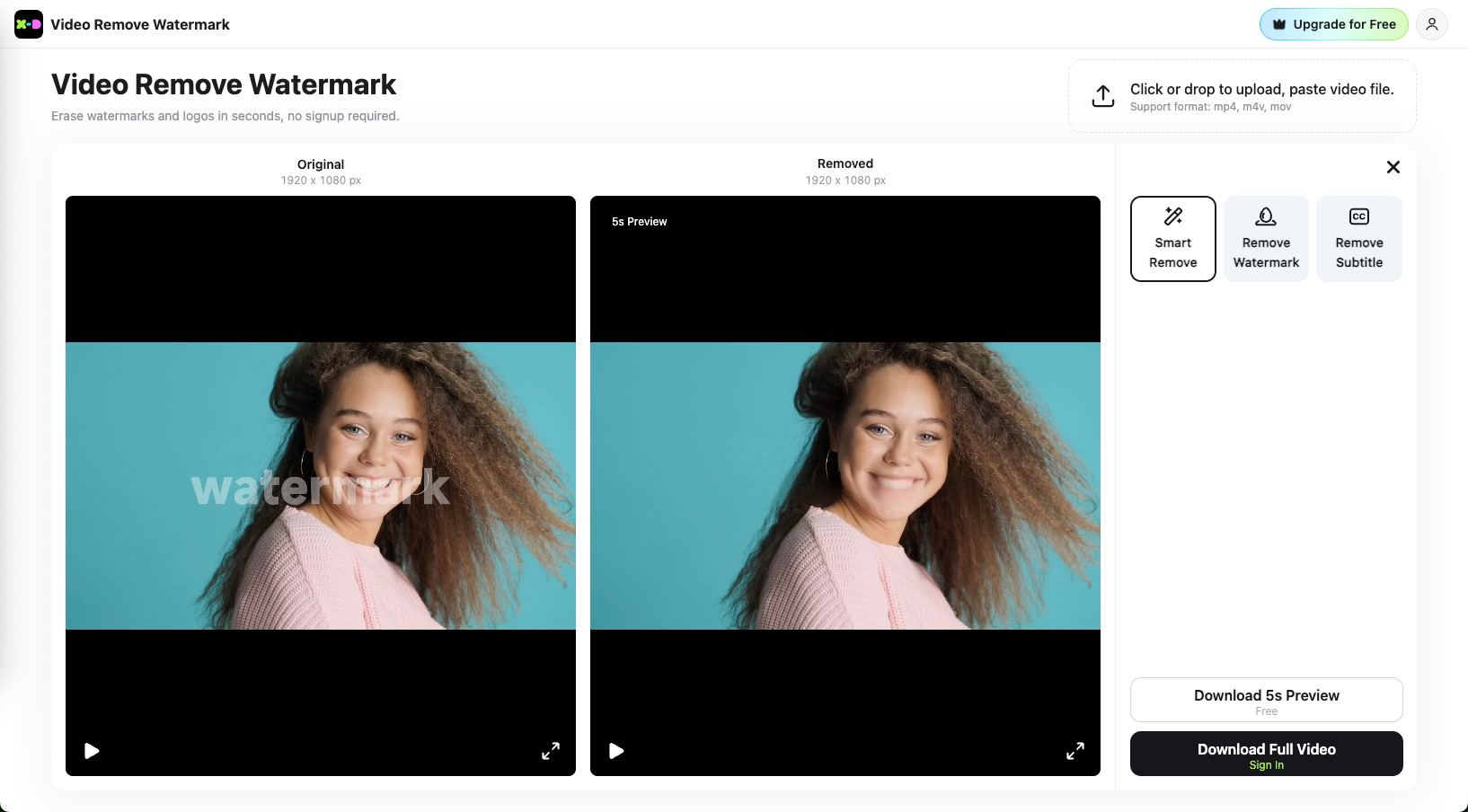 mode selection screen showing Smart Remove and Remove Watermark