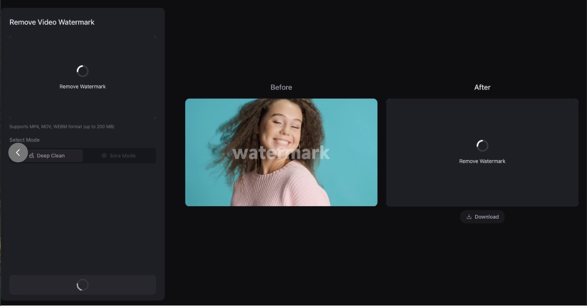 result preview showing blur or warping in the removed watermark area